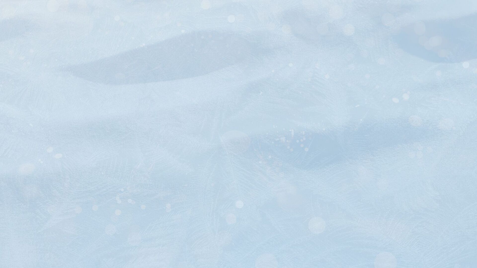 Februartilbud