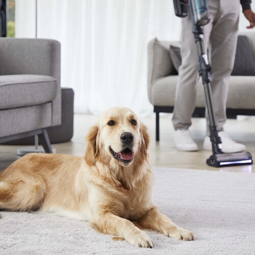 X-Force 14.80 Flex Animal Aqua, Støvsuger med Moppefunksjon