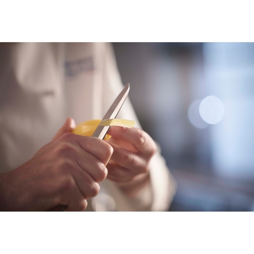 Paul Bocuse Knivsett 3 kniver 