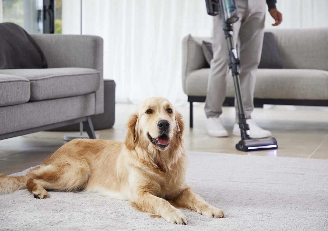 Det beste valget for dyreeiere – Animal modellen