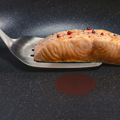 Expertise stekepanne 28 cm