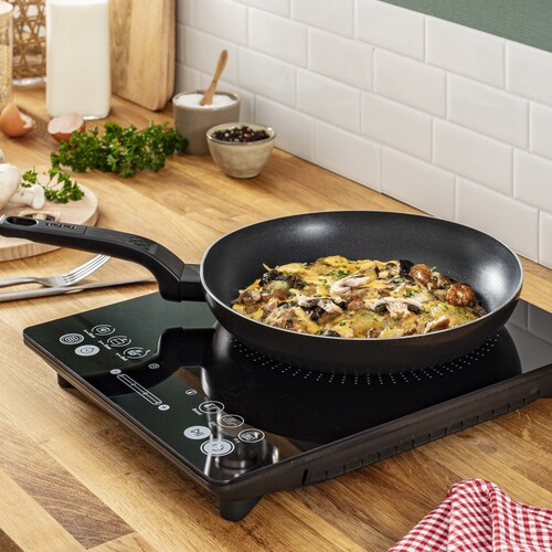 INDUCTION HOB Induksjonsplate Kokeplate Induksjon