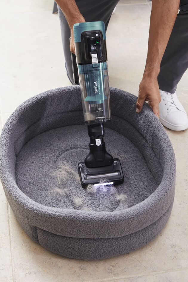 Opplev eksepsjonell sugekraft med våre støvsugere og spesialtilbehør, perfekt for å fjerne hår og lo fra møbler og gulv.