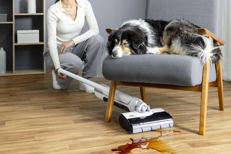 Hvilken støvsuger med vaskefunksjon skal man velge?