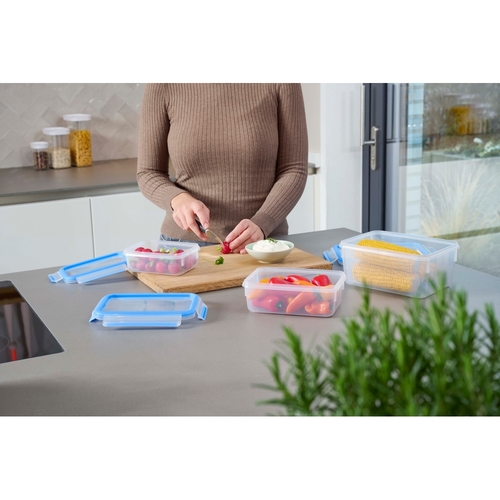 MasterSeal FRESH box 3-delers 0,55/1,0/2,3 l Matbokser av plast 